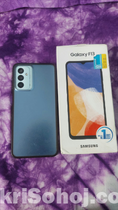 Galaxy F13
